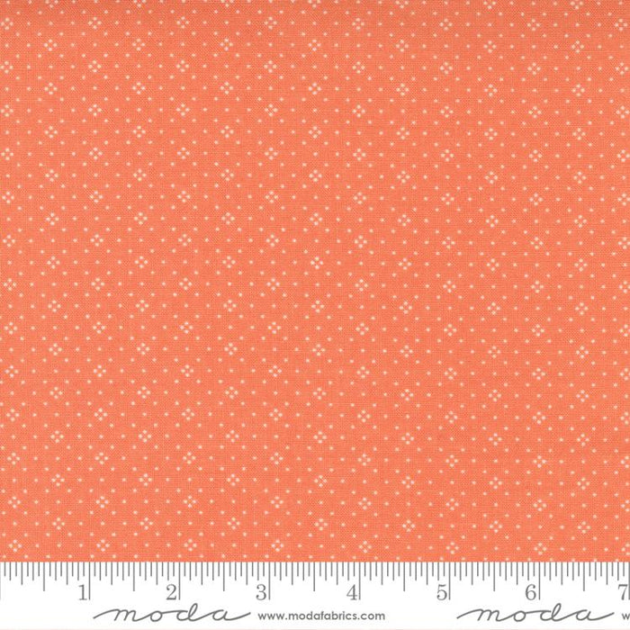 MO Cinnamon Cream Coral