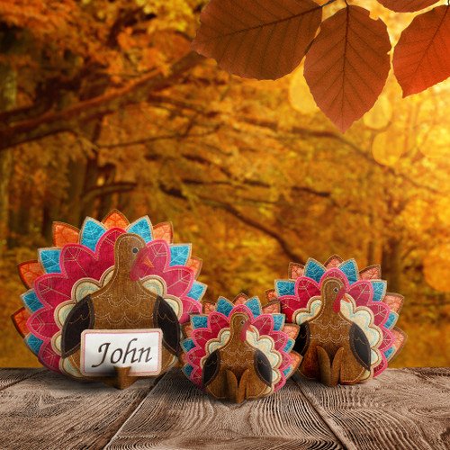 Freestanding Table Top Turkey CD