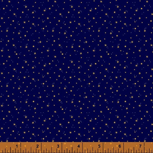 WD Orbit-Stars Navy