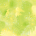 BE Fossil Fern Wide 528W 26 Lime Ice