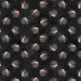 WD  Midnight Dark Side of the Moon