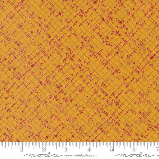 MO Wild Blossoms Honeycomb 