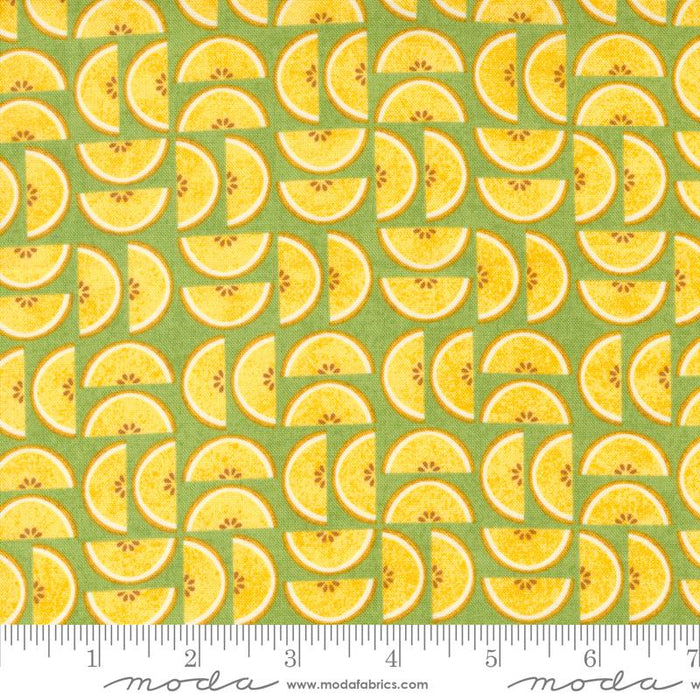 MO Fruit Loop Kiwi
