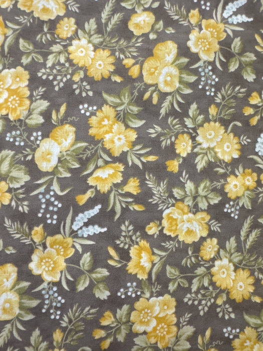 MO Honeybloom Yellow Flowers