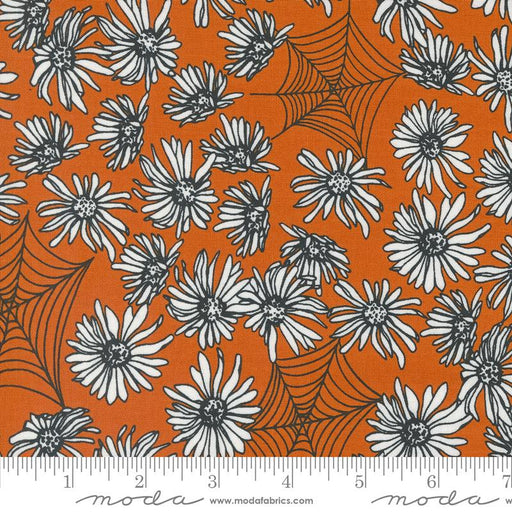 MO Noir Flower Web Pumpkin 11541 24