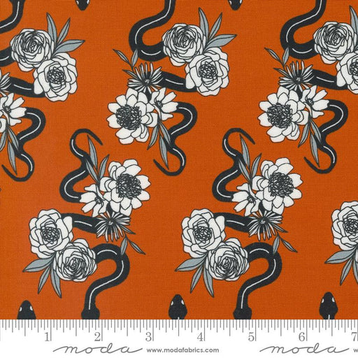 Mo Noir snake Flower Pumpkin 11542 14