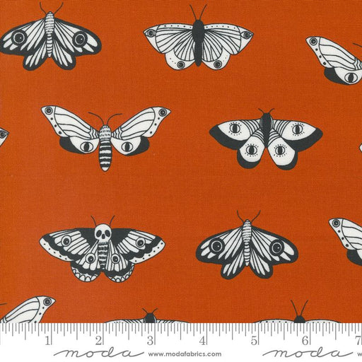 MO Noir Moths Pumpkin 11543 14