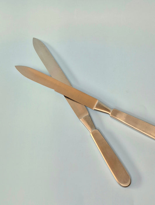 Liston Amputation Knife (2 variants)