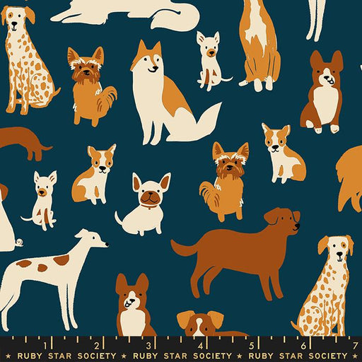 RSS Dog Park Teal Navy RS2094 13 