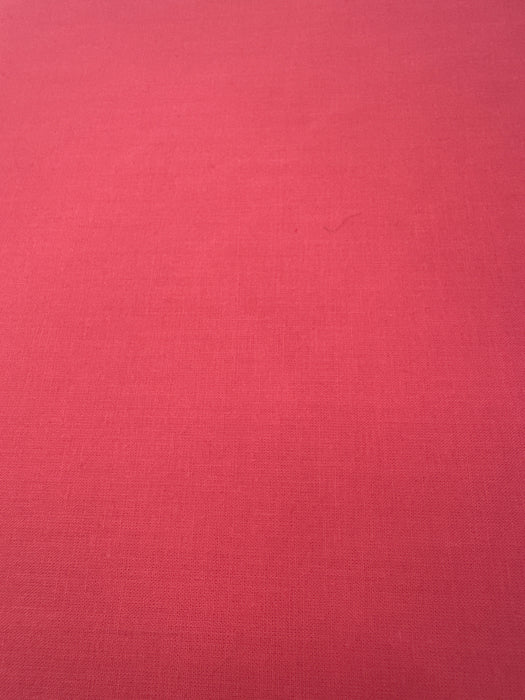 WD Ruby and Bee Bright Pink