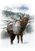 HO Elk Panel