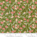 MO Woodland Wonder Fern 48393 -19 