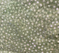 HO Custom Batik Bali Chop-Spines-Kelly