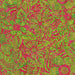 IB Flower Zebra Lime Tweet