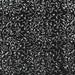 IB Pine Needles -Black Tweet