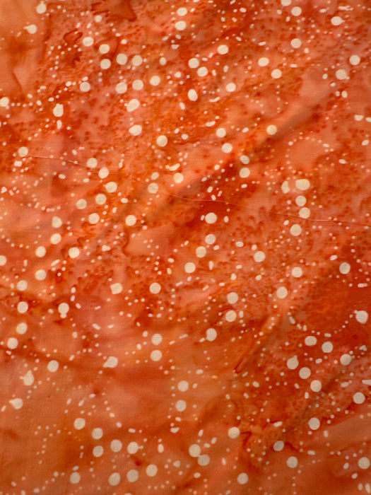 AN Splatter Coral
