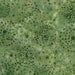 IB Dandelion-Frog