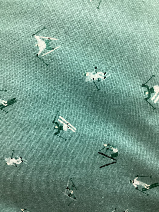 RB Teal Ski Hill Skiers C14774