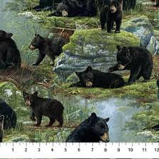 NC Bear’s Den Bear’s Scenic Black Multi