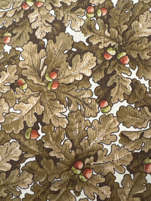 AN Autumn Woods Dried Acorn Leaves Brown