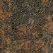 IB The Orchard-Mini Dots-Spiced Nutmeg
