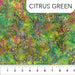 BYB Banyon BFF's 81600-72 Citrus Green