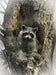 HO Call of the Wild PANEL Raccoon