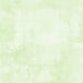 WL Dry Brush 89205 700 Pale Lime 