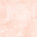 WL Dry Brush 89205 800 Pale Apricot
