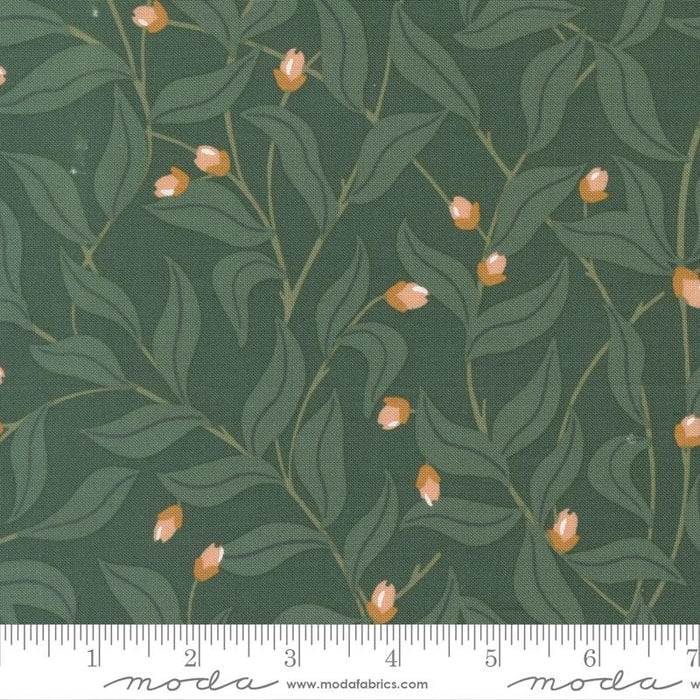 MO Peachy Spruce 38154 21