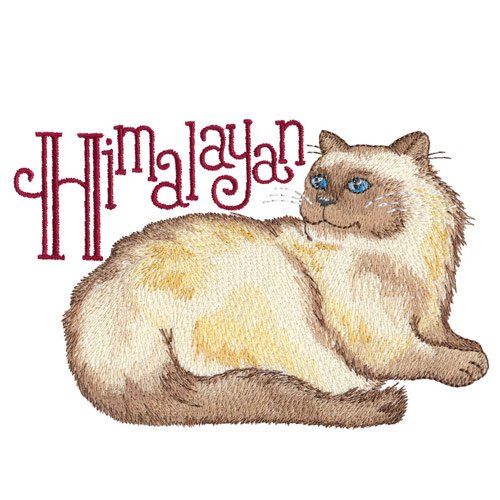 Cat Alphabet CD