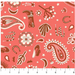 FI Desert Sunrise Bandana Red