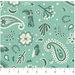 FI Desert Sunrise Bandana Teal