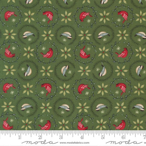 When Snow Falls Evergreen 1867.68043