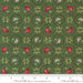 When Snow Falls Evergreen 1867.68043