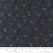 When Snow Falls Night Sky 1867.68048