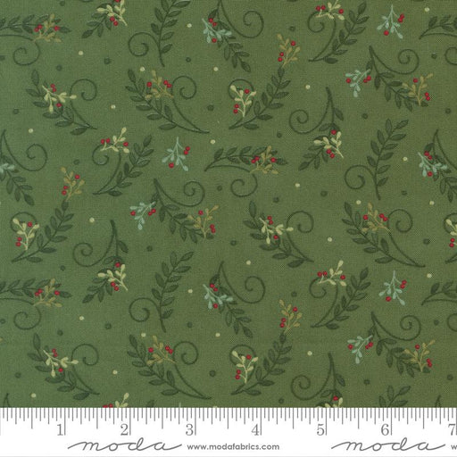 When Snow Falls Evergreen 1867.68050