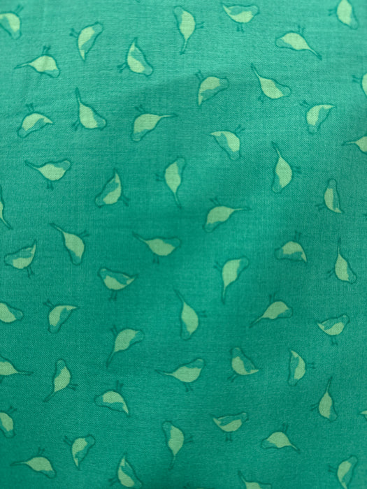 WD Color Club Aqua Green Birds