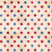 BL Land of the Free 9513-41