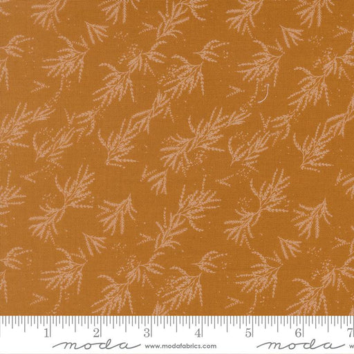 Wellspring Caramel