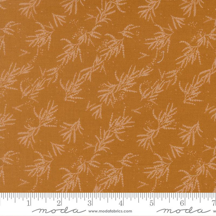Wellspring Caramel