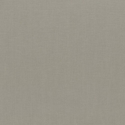 RJR Cotton Supreme 9617 395 Warm Grey