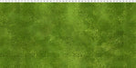 ITB Prism J. Yenter Vines Green