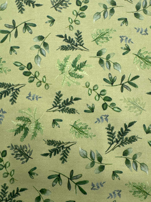CW Wild Wonder Green