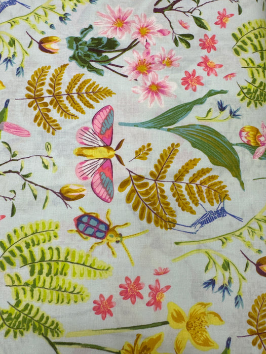 WD Moths, Beetles and Hummingbirds, Oh My! Mint