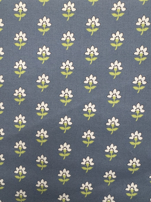 MO Shoreline Blue Flower Print