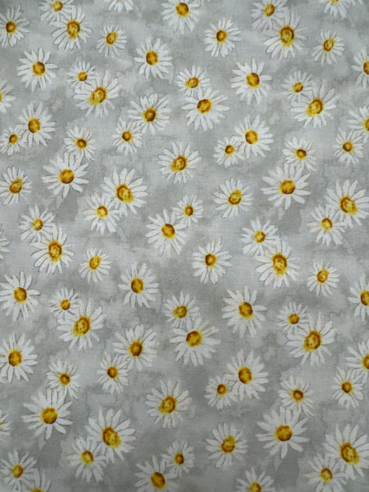 WL Zest For Life white Daisy