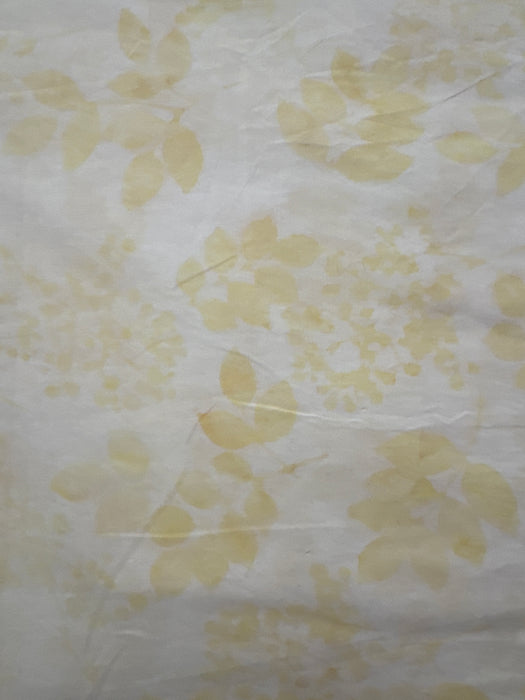 HO Gardenia Ivory