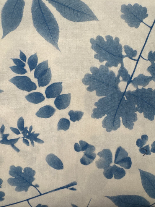 MO Bluebell Leaves on White