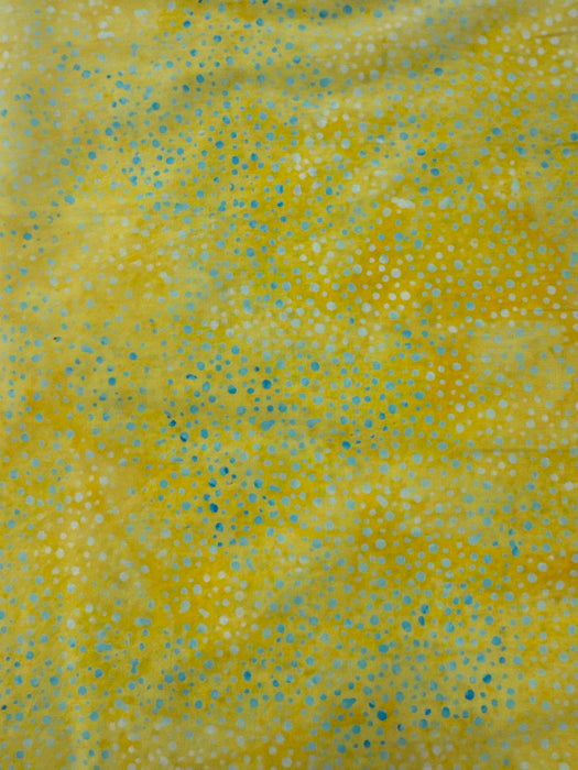 HO French Yellow Teal Dots